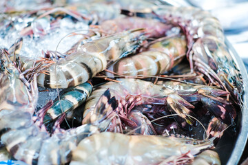 Feresh tiger prawn shrimp sell in fishery market