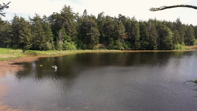 The Beautiful and Peaceful Scenery Of A Boat Floating On The Calm Lake in Brandon, Oregon - Wide Shot