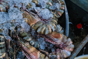 Feresh tiger prawn shrimp sell in fishery market