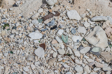 beach sea glass shells
