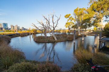 A park at the South Perth Foreshore. The Perth city skyline can be seen in the background. 