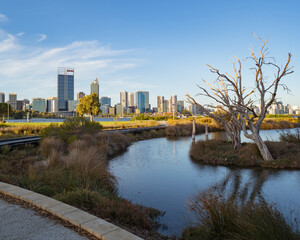 A park at the South Perth Foreshore. The Perth city skyline can be seen in the background. 