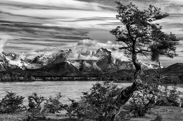 Fototapeta premium Rio Serrano landscape with Torres del Paine horns in the background. Rio Serrano, Chile.