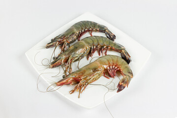 Three fresh raw tiger prawns on the ceramic square plate without ingredients.