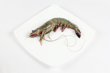 One fresh raw tiger prawn on the ceramic square plate without ingredients.