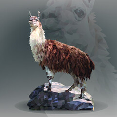 Lama in geometrical style © nutriaaa
