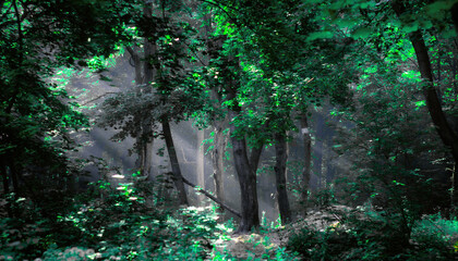 Obraz premium Magical green forest, the rays of the sun through the leaves, beautiful atmosphere