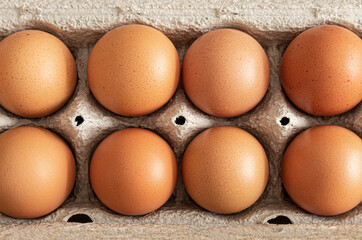 Closeup to an eight orange eggs into a brown egg box