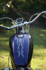 Bike, navy with white flames, fuel tank, chrome