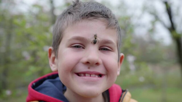 beekeeping, little brave boy beekeeper smiles with honey bee on his face from hive while standing on a pasik in spring season