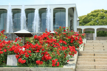 Fototapeta na wymiar 赤いバラがきれいな須磨離宮公園【5月】