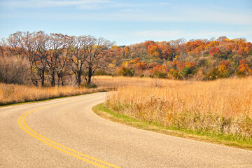Fototapeta na wymiar Curvy road in the middle of an autumn field in late October in northern Minnesota