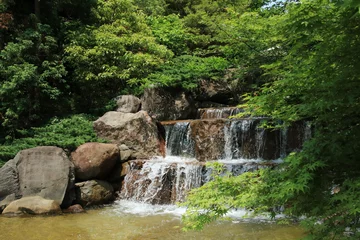 Poster de jardin Paysages 新緑の須磨離宮公園の滝【5月】  © Hiro