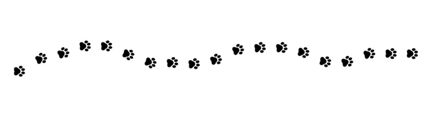 Paw print cat