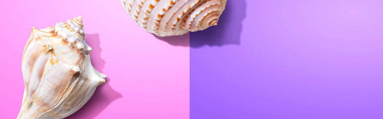 Summer concept with seashells overhead view - flat lay