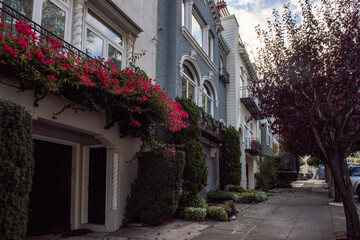 Fototapeta na wymiar Row of typical houses in Marina neighbourhood, San Francisco, California