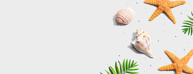Summer concept with starfish and seashells overhead view - flat lay