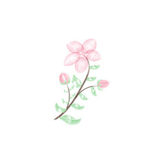 Naklejka na ściany i meble Beauty pink blossom flower watercolor