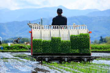 田植機　田植え　農業　農作業