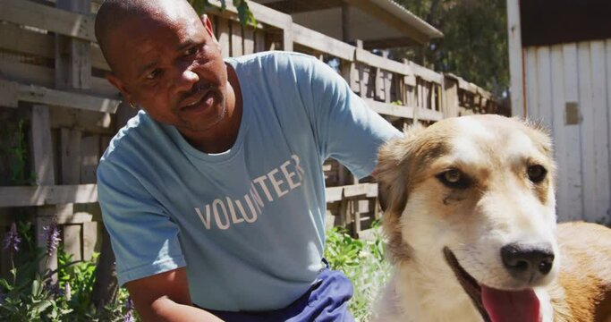 African American man volunteer in a dog shelter