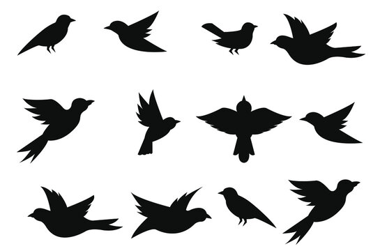 Vector Collection of Bird Silhouettes Birds vector illustration, isolated on white background.