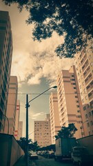 skyscrapers in the city