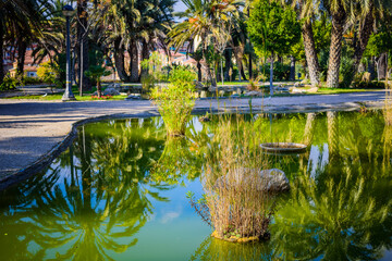 Fototapeta na wymiar City Park. Elche, province of Alicante. Spain