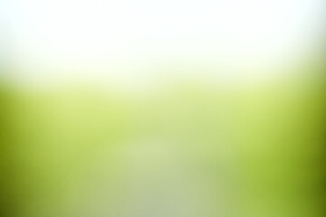 Fototapeta na wymiar green nature blur bokeh background