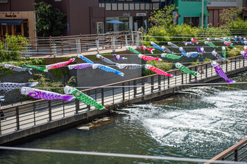 東京ソラマチ　風に揺れる鯉のぼり	