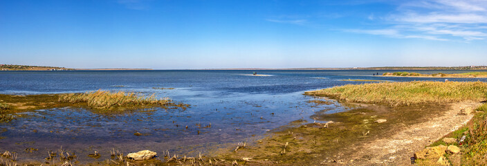 Reed-covered estuary near the village of Koblevo in Ukraine