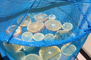 干し果物　オレンジ　レモン　みかん　プチトマト