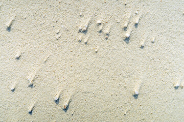Fototapeta na wymiar 宮古島の砂浜