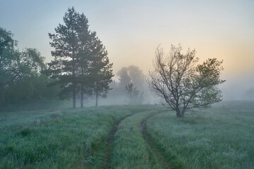 Early spring. Morning dawn over the lake in a misty, thoughtful haze. Beautiful view of the forest covered with fog early in the morning. The sun's rays of light. May.