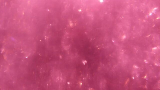 Abstract pink background with bubbles