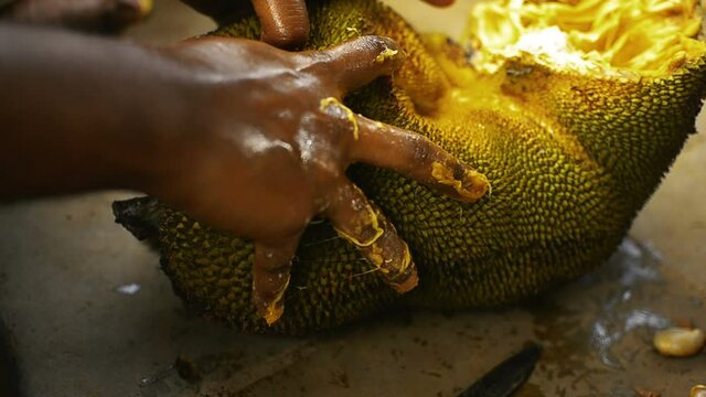Black hands on jackfruit