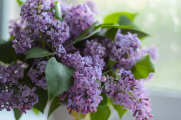 bunch of lilac flowers