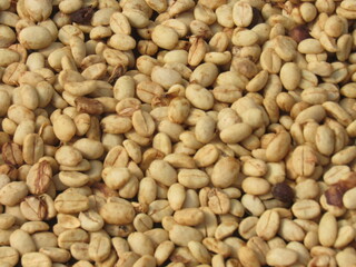 San Isidro, El General, Perez Zeledon, Costa Rica