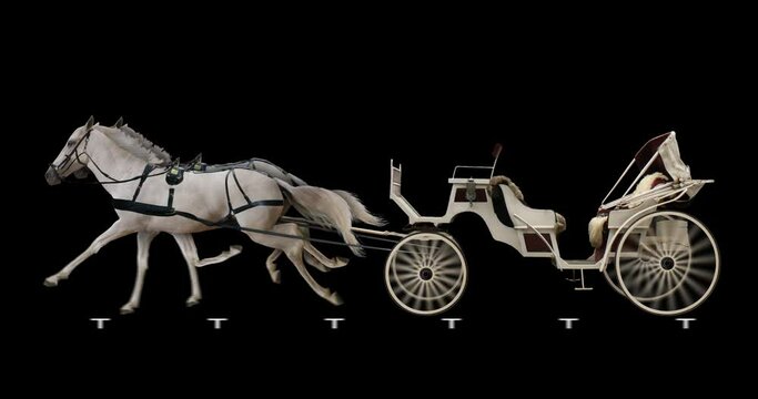 White horse-drawn carriage. Cyclic animation in two versions: with and without a coachman. Alpha channel is included.Element for visual effects.