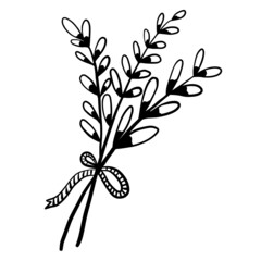 Single herbal elements hand drawn vector illustration in doodle style for wedding design, logo and greeting card.