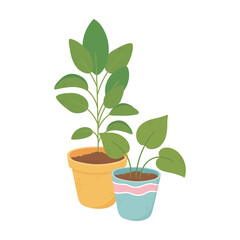 potted plants gardening interior decoration isolated icon design