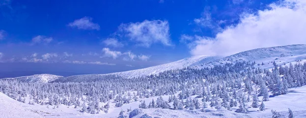 Fotobehang 蔵王の雪景色（パノラマ）  © 7maru