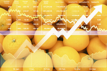 Stock financial index show successful investment on agriculture products such as organic fruit...