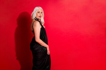 Profile photo of attractive aged grey haired lady luxury look evening makeup corporate party posing...