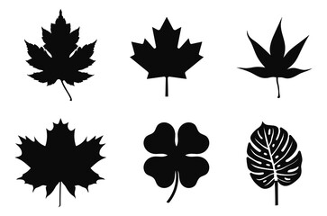 Leaf Silhouette Vector Illustration Design