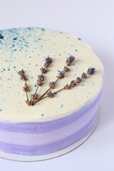 blueberry lavender sponge cake on light background