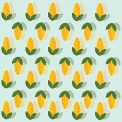Maize background