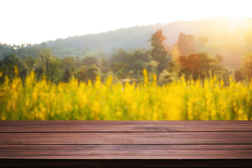 Empty wooden table space platform and blurred field or farm background for product display montage