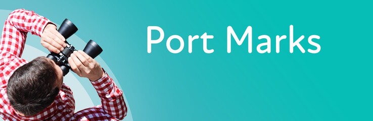 Naklejka premium Port Marks. Businessman (man) looks through binoculars. Birds eye view. Focus on text. Blue Background. Business, Finance, Statistics, Analysis, Economy