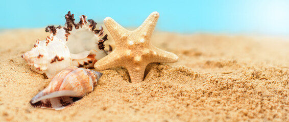 Fototapeta na wymiar Sea star and colorful shells on coastline.Summer beach.Vacation memories from the beach, sea fish and shell.Summer beach background travel concept.Banner.Copy space for text.
