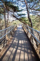 원주 소금산 출렁다리